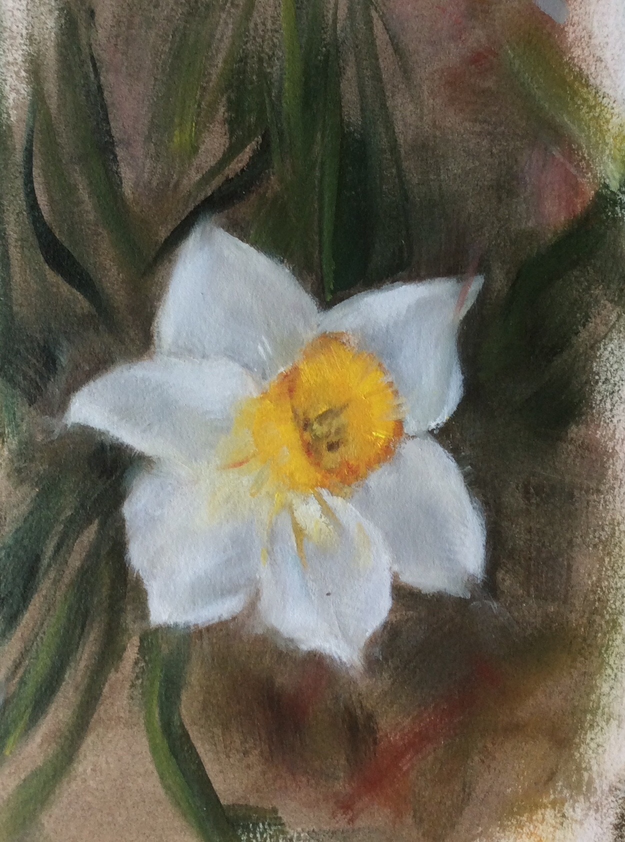 Spring daffodil II.  Oil on Arches paper approximately 22 x 30 available 