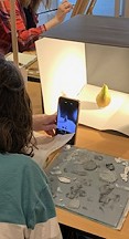 IMG1