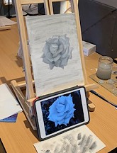 IMG5